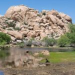 Journey into Joshua Tree: Audio Driving Tour and Local Guide - Highlights of Iconic Joshua Tree Stops