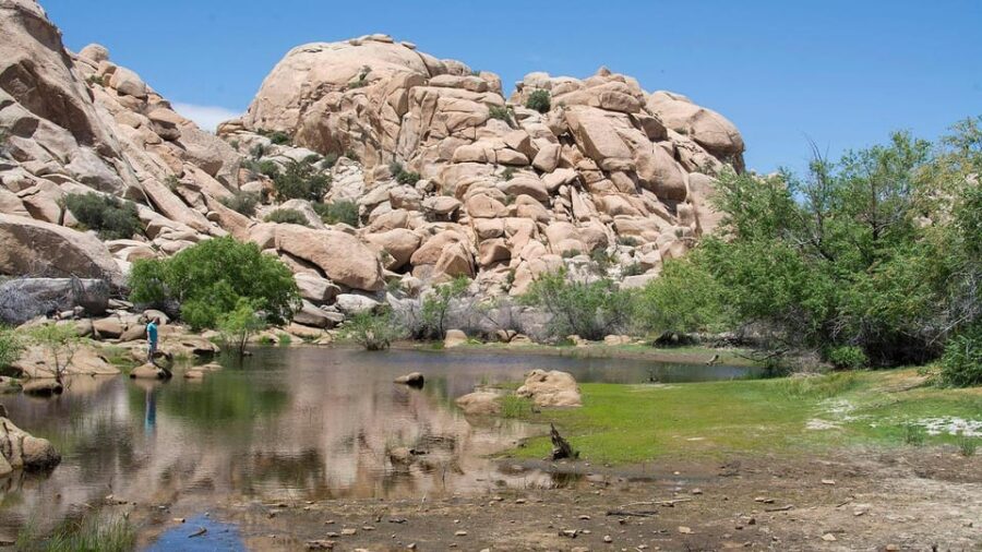 Journey into Joshua Tree: Audio Driving Tour and Local Guide - Highlights of Iconic Joshua Tree Stops