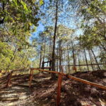 Juárez Highlands: Ecotourism and Workshop Experience - Wooden Mill Making: A Hands-On Cultural Experience