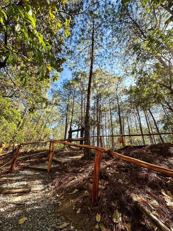 Juárez Highlands: Ecotourism and Workshop Experience - Wooden Mill Making: A Hands-On Cultural Experience