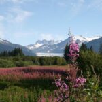 Juneau City Tour - Exploring Historic Downtown Juneau on a Bus