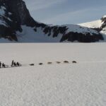 Juneau Helicopter and Dogsledding with Added Glacier Landing - The Scenic Flight over Juneau Icefield
