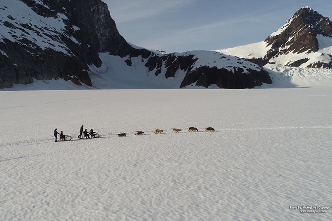 Juneau Helicopter and Dogsledding with Added Glacier Landing - The Scenic Flight over Juneau Icefield