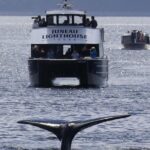 Juneau Lighthouse Tours - Whale watching & Lighthouse Combo - Whale Watching: Spot Orcas, Whales, and Sea Lions in Their Natural Habitat