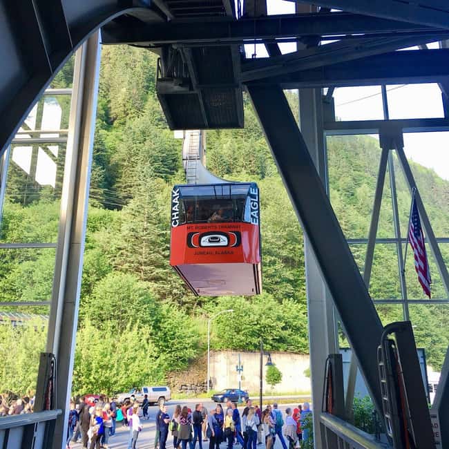 Juneau: Mount Roberts Tram Ride with App and Map - Scenic Tram Ride with Spectacular Panoramas