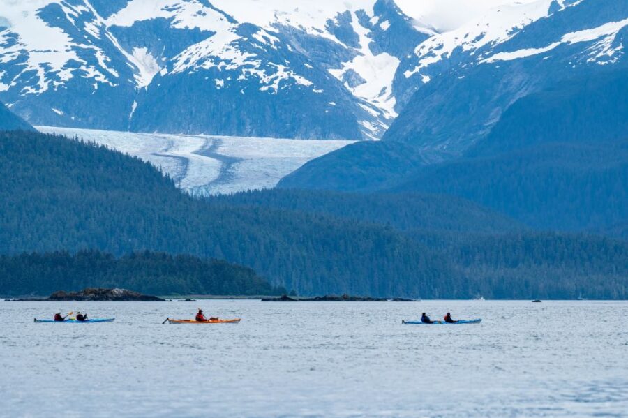 Juneau: Paddle with Whales Kayak Adventure - Starting Point and Logistics in Juneau