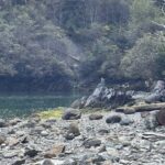 Juneau: Treadwell City Ruins Guided Walking Tour - Pickup and Transportation Details