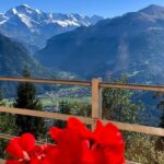 Jungfraujoch (Private Tour) - Scenic Drive Over the Brünig Pass with Mountain Views