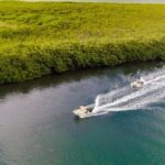 Jungle Adventure Tour! Speed boat and Snorkeling (Single) - Snorkeling at Nizuc and Limones Reefs