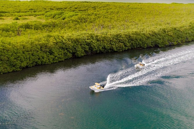 Jungle Adventure Tour! Speed boat and Snorkeling (Single) - Snorkeling at Nizuc and Limones Reefs