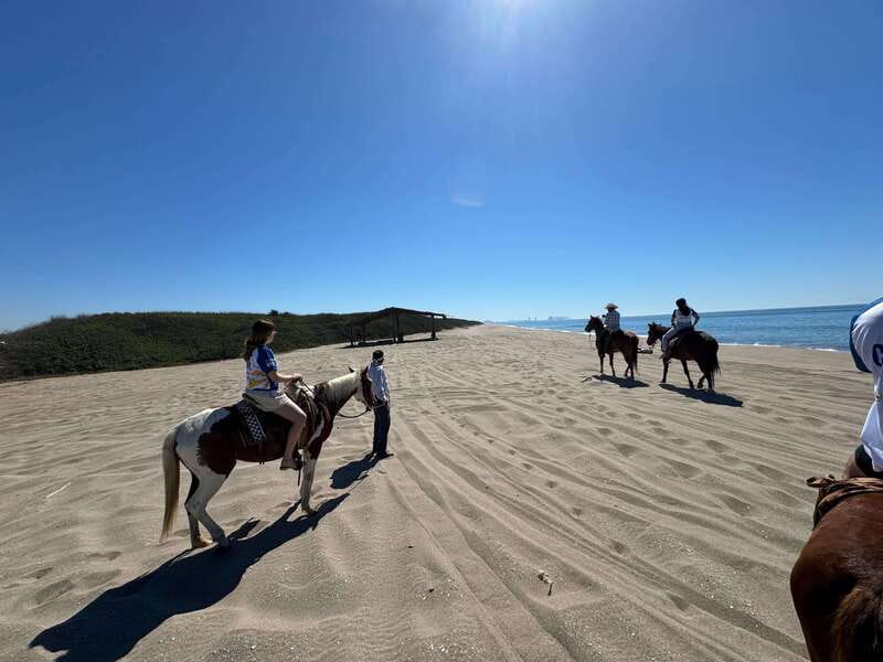 Jungle and beach horseback ride + lunch + mezcal - Exploring Mr. Lionso Ranch in Sinaloa
