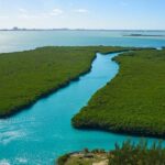 Jungle Tour . Lagoon, Mangrooves & Snorkel for Couples - Cruising Nichupté Lagoon and the Lakes