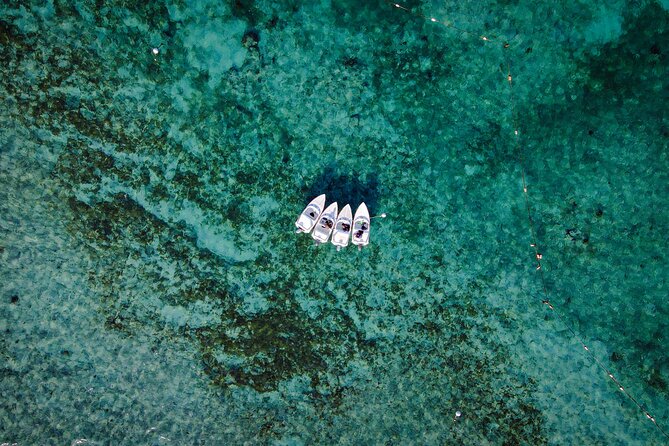 Jungle Tour & Snorkel at Punta Nizuc Reef , Underwater museum - Snorkeling at Punta Nizuc Reef