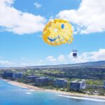 Kaanapali Beach Parasailing: Soar Above Mauis Stunning Coastline - The Experience: Soaring Above Mauis Coastline