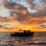 Kachemak Bay Wildlife Tour - Wildlife Viewing from Kachemak Bay