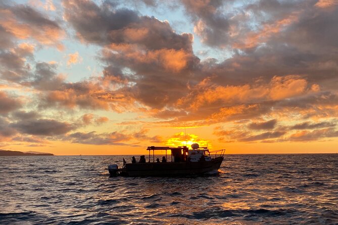 Kachemak Bay Wildlife Tour - Wildlife Viewing from Kachemak Bay