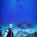 Kailua-Kona: 2-Tank Morning Dive - Exploring Kailua-Kona’s Top Dive Sites with Over 50 Options