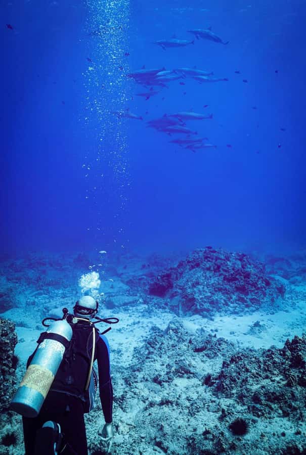 Kailua-Kona: 2-Tank Morning Dive - Exploring Kailua-Kona’s Top Dive Sites with Over 50 Options