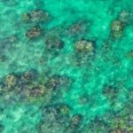 Kailua, Oahu: Guided E-Bike & Kayak Tour to Mokulua Islands - Riding Electric Bikes Through Kailua Town