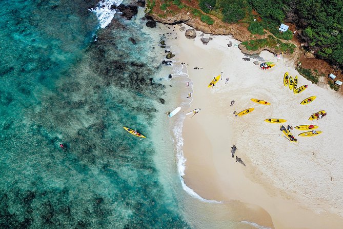 Kailua Twin Islands Guided Kayak Tour, Oahu - Exploring the Mokulua Islands and Bird Sanctuary