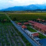 Kakhetian Authentic Wine Tasting and Traditional Dinner - Starting Point at Gugoshvilis Cellar