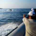 Kamiros Skala: Marine Life Experience by Boat - Meeting Point and Logistics at Blutopia in Kamiros Skala