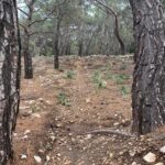 Karpathos scenic Agia Kyriaki Walk from Pigadia - Visiting the Agia Kyriaki Church and Its Viewpoints