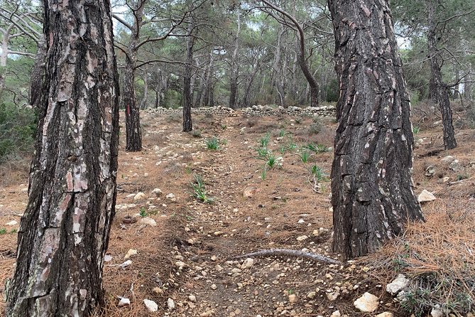Karpathos scenic Agia Kyriaki Walk from Pigadia - Visiting the Agia Kyriaki Church and Its Viewpoints