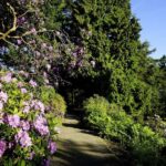 Kassel: Ready for the island?! Karlsaue and Siebenbergen in the scent of spring - Starting at the Orangerie: Kassel’s Historic Gateway