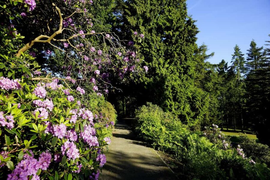 Kassel: Ready for the island?! Karlsaue and Siebenbergen in the scent of spring - Starting at the Orangerie: Kassel’s Historic Gateway