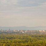 Katowice: Express Walk with a Local in 60 minutes - Starting at the Cathedral of Christ the King in Katowice