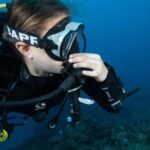 Kauai: 2 Tank Afternoon Dive - Logistics and Practical Tips for the Tour