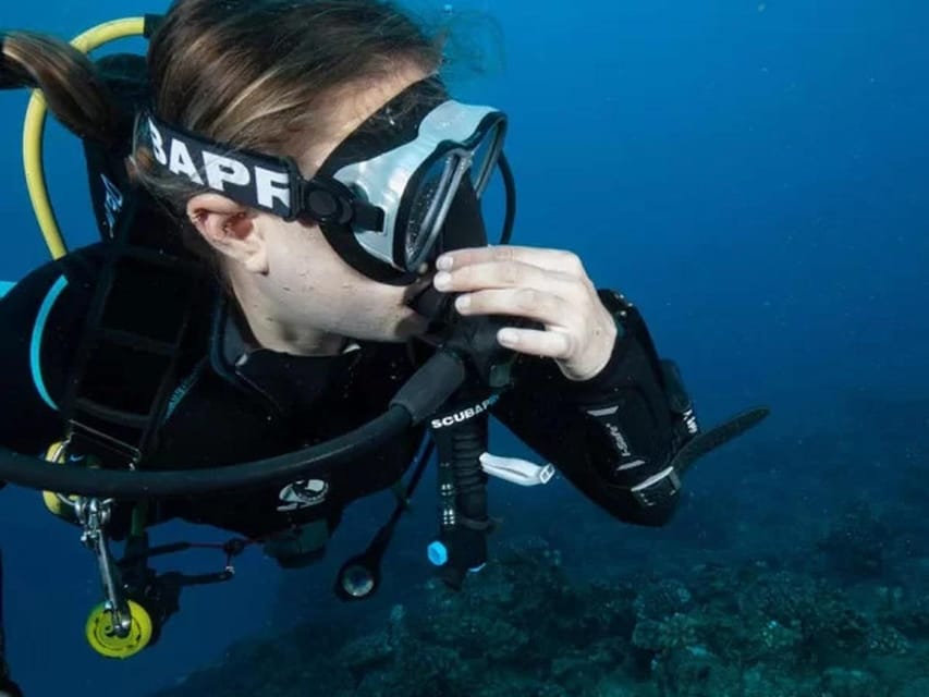 Kauai: 2 Tank Afternoon Dive - Logistics and Practical Tips for the Tour