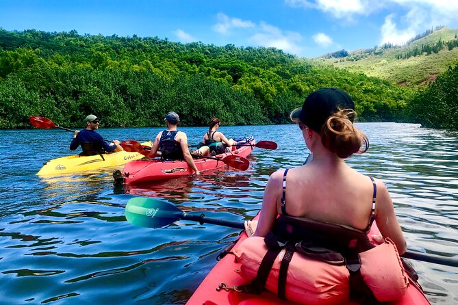 Kauai Adventure: Kayak & Hike to Secret Falls with Expert Guide - The Kayaking Experience on Wailua River