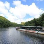 Kauai Cruise Ship Excursion: Wailua River & Fern Grotto - Exploring Wailua River and Its Natural Wonders