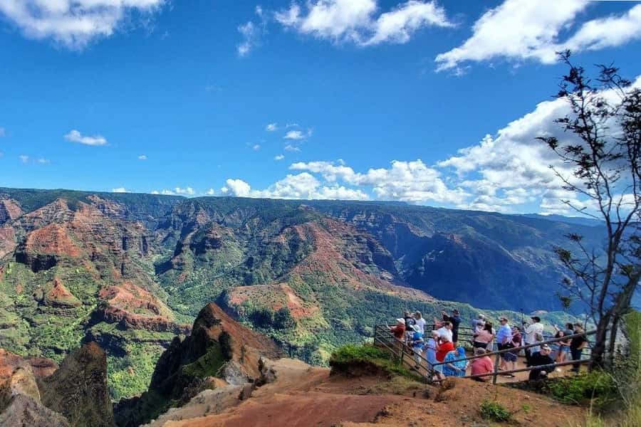 Kauai Day-Tour: Kalalau, Waimea, Poipu, Cruise or Airport PU - Kauai’s Most Notable Sights: Small-Group Access to Kalalau Valley Viewpoint