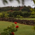 Kauai East Side SHARED Adventute - Exploring Kapaa Town’s Vibrant Local Flavor