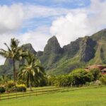 Kauai Highlights & Movie Sites - Visiting Opaekaa Falls: A 151-Foot Icon in Kauai