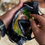 Kauai: Mlama Kai Snorkeling Adventure & Reef Cleanup - Meeting Point and Logistics