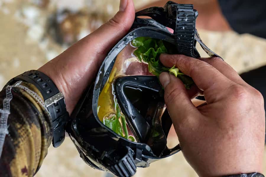 Kauai: Mlama Kai Snorkeling Adventure & Reef Cleanup - Meeting Point and Logistics