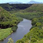 Kauai Northeast Tour, Fern Grotto River Cruise & Lighthouse - Exploring Kauai’s North and East Shores by Land