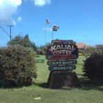 Kauai Shore Excursion - Waimea Canyon Adventure Tour - Nawiliwili - Waimea Canyon State Park: The "Grand Canyon of the Pacific"