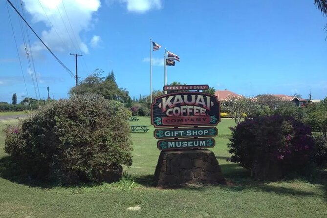 Kauai Shore Excursion - Waimea Canyon Adventure Tour - Nawiliwili - Waimea Canyon State Park: The "Grand Canyon of the Pacific"