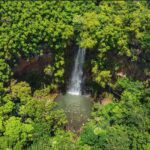 Kauai: Wailua River Kayak and Secret Falls Hike Tour - The Scenic Journey Along Wailua River