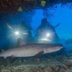 Kauai's Ultimate Boat 2 Tank Adventure Dive Certified Divers Only - The Unique Experience of a Zodiac Ride with Diving