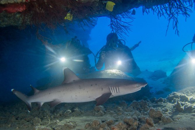 Kauai's Ultimate Boat 2 Tank Adventure Dive Certified Divers Only - The Unique Experience of a Zodiac Ride with Diving