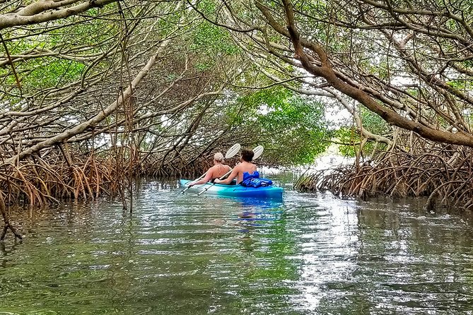 Kayak Adventure of Shell Key Preserve & Island with a Local - Key Points