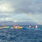 Kayak and Snorkel West Maui at Olowalu - Snorkeling with Giant Sea Turtles at Turtle Reef