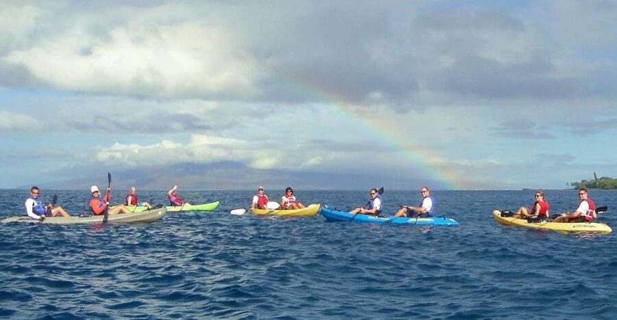 Kayak and Snorkel West Maui at Olowalu - Snorkeling with Giant Sea Turtles at Turtle Reef