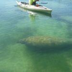 Kayak Eco Tour in Don Pedro Island - Exploring Don Pedro Island State Park from the Water